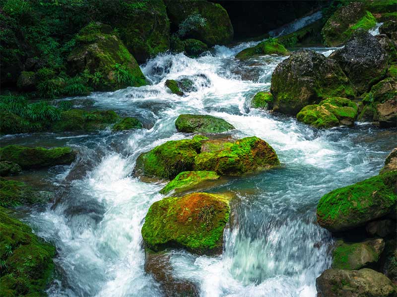 水質(zhì)檢測(cè)總氮標(biāo)準(zhǔn)