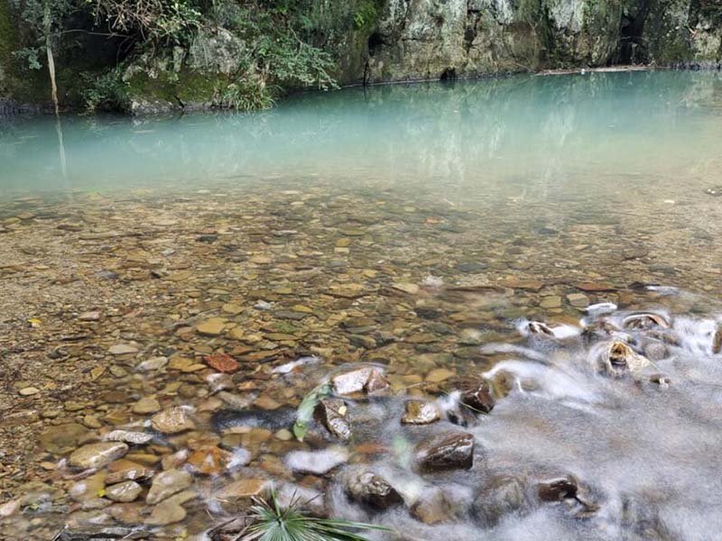 地表水水質(zhì)檢測標(biāo)準(zhǔn)限值是多少（地表水水質(zhì)檢測指標(biāo)介紹）