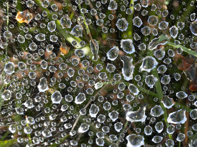 手持水質重金屬檢測儀測定指標（手持水質重金屬檢測儀使用注意事項）