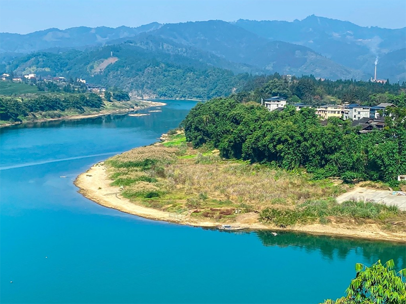 葉綠素含量高對水質有什么影響