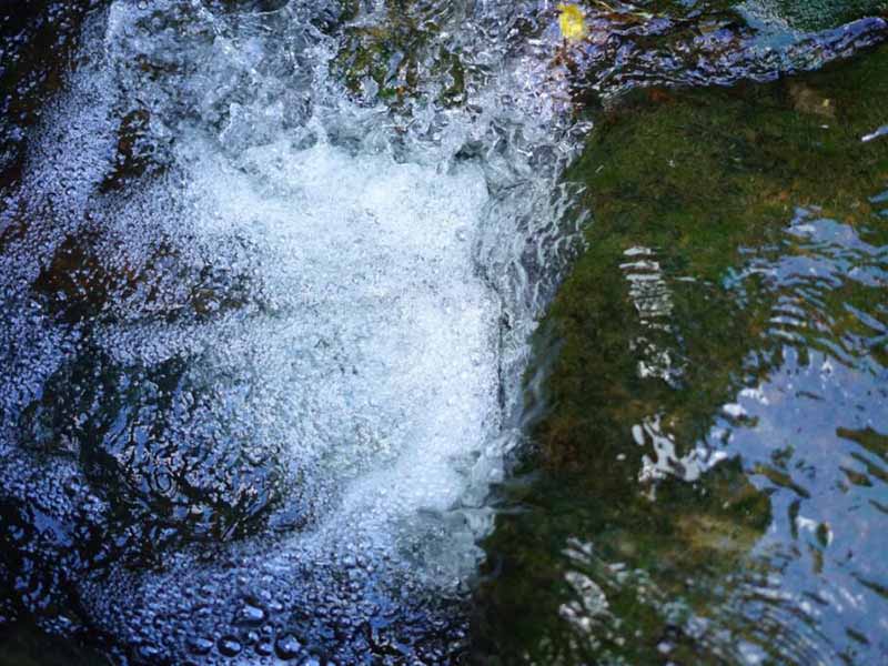 BOD測(cè)定儀操作全流程