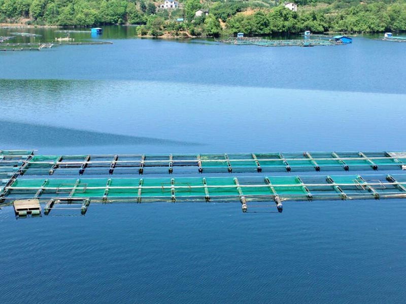 COD水質在線自動監測儀用途