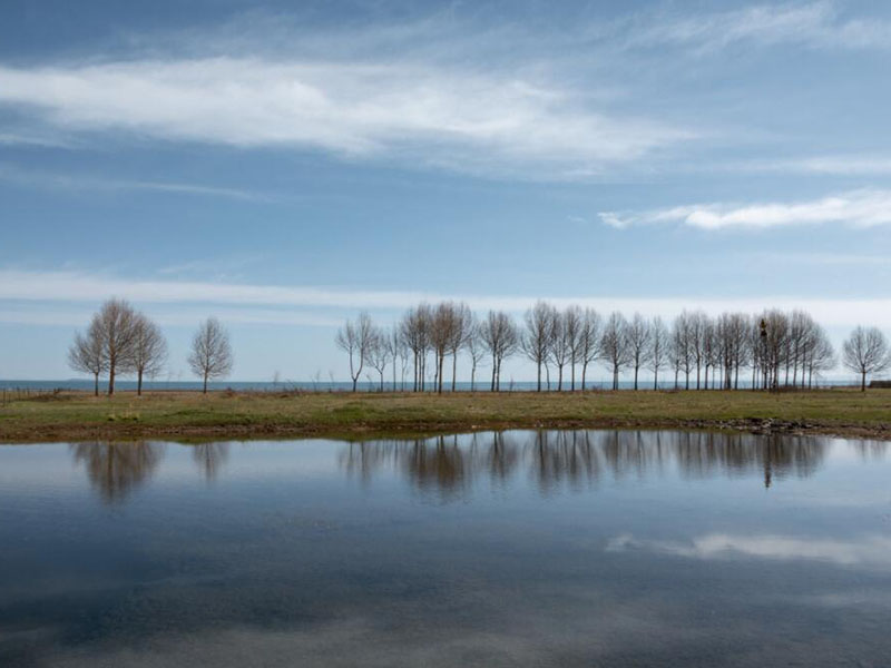 農村黑臭水體治理要求