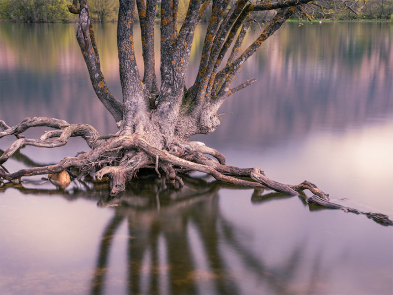 水質濁度檢測的必要性