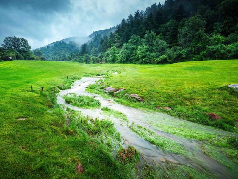 手持式總氮檢測儀廠家