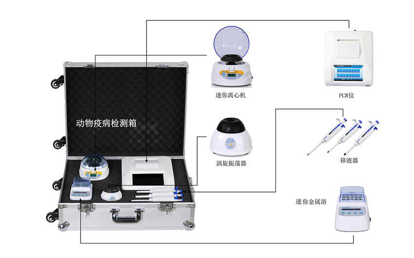非洲豬瘟快速檢測(cè)儀